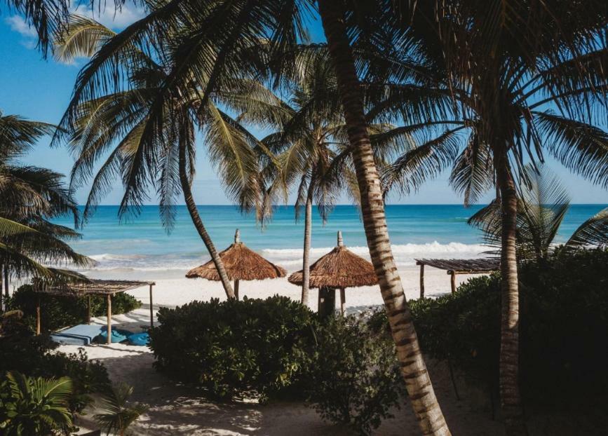 Holiday home Palms House