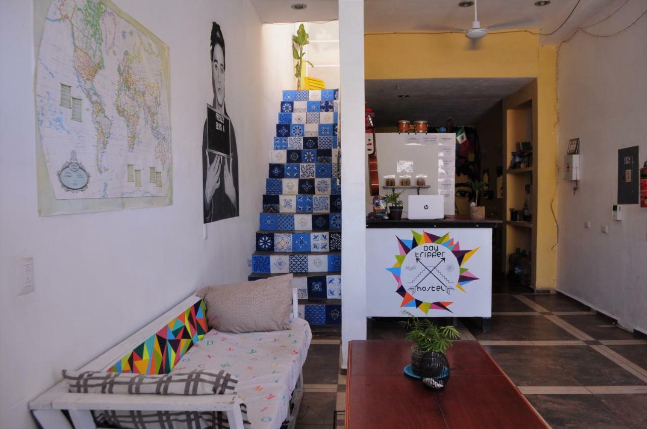 Day Tripper Hostel *