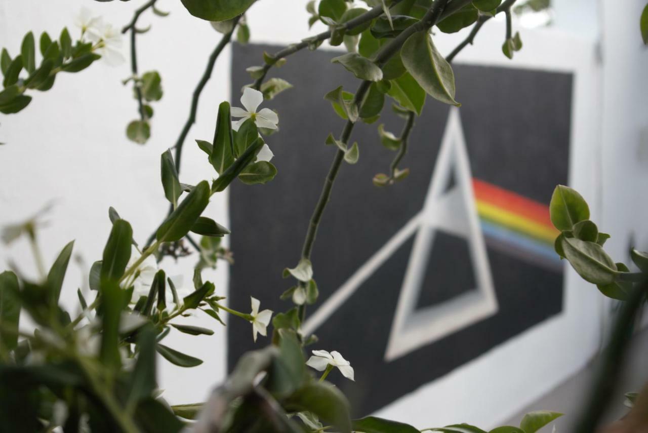 Day Tripper Hostel *