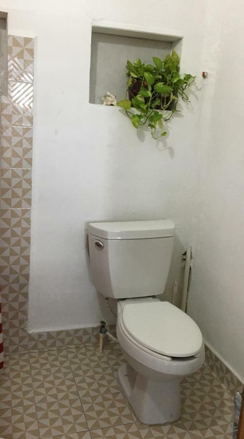 Cha Cha Cha Hostel Tulum