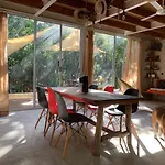 Jungle Casa