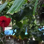 & Gardens 3*