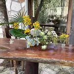 Escarabajo Rojo Bed & Breakfast Tulum
