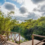 Hotel Manglex Eco
