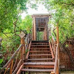Manglex Eco Hotel