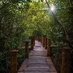 Manglex Eco 3* Tulum
