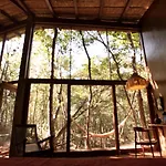 OJO DE ÁRBOL, boutique cabin in the real jungle