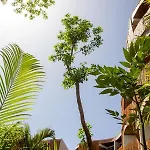 Apartahotel Adora Distinctive Residences