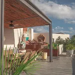 Stylish & Luxury Penthouse & Apartment, Private Pool, Private Hot Tub, Terrace And Roof At Jungle