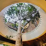 Hotel Miraluna B223 At Luum Zama *