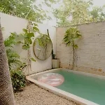 Ujo 100 Mb Wifi 2 Private Pools Tulum