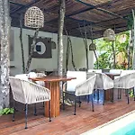 Dk Jade 30 By Sandy Powerful Tulum