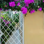 4 Palmas