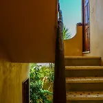 4 Palmas