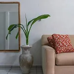 ~ Casa Shakti ~ Cozy Jungle Scape Hotel *