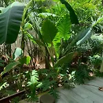 Luxury Apartment Tulum