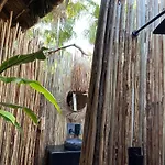 Casa Tolok In Beachfront Villa
