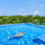 Exclusive Building Infinity Pool And Gym Restaurants And Bar District Nearby