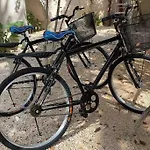 Tropical Oasis In Holistika Tulum With Pool