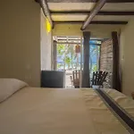 Bt Live Located At The Party Zone Tulum