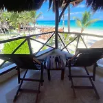 Bt Live Located At The Party Zone Hotel Tulum