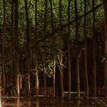 Casa Teka - Boutique & Cenote Tulum