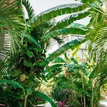 Kinah Retreat - Exclusive Boho Tropical Escape * Tulum