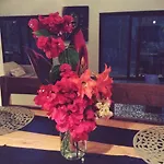 Bed & Breakfast Escarabajo Rojo Tulum