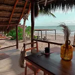 Bt Live Located At The Party Zone 4* Tulum