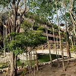 Aparment In The Zone Of *