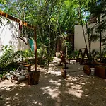 Penthouse With Private Jungle, Pool, Downtown