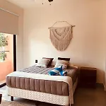 Estudio Completo En La Selva Tulum