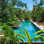 Estudio Completo En La Selva Tulum