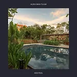 Estudio Completo En La Selva * Tulum