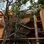 Estudio Completo En La Selva