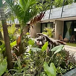 Zel-Va Tulum Apartments