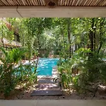Acinte Tulum