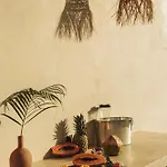 Jungle Retreat, Sleeps 10 Comfortably, Rooftop Pool