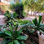 Apartment De Ensueno Con Cenote Privado *