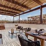 Luxury Villas In Aldea Zama