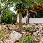 Xtambaa Selva Tulum