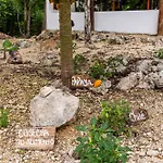 Xtambaa Selva Tulum