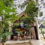Xtambaa Selva