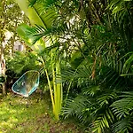 Casa 4* Tulum