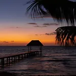 Alea Tulum