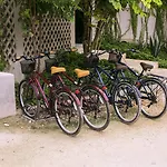 Hotel Alea
