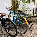 Los Arcos Hotel - Tulum