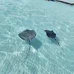 Nomad Tulum