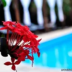 & Gardens 3*