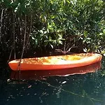 Hotel Manglex Eco Tulum